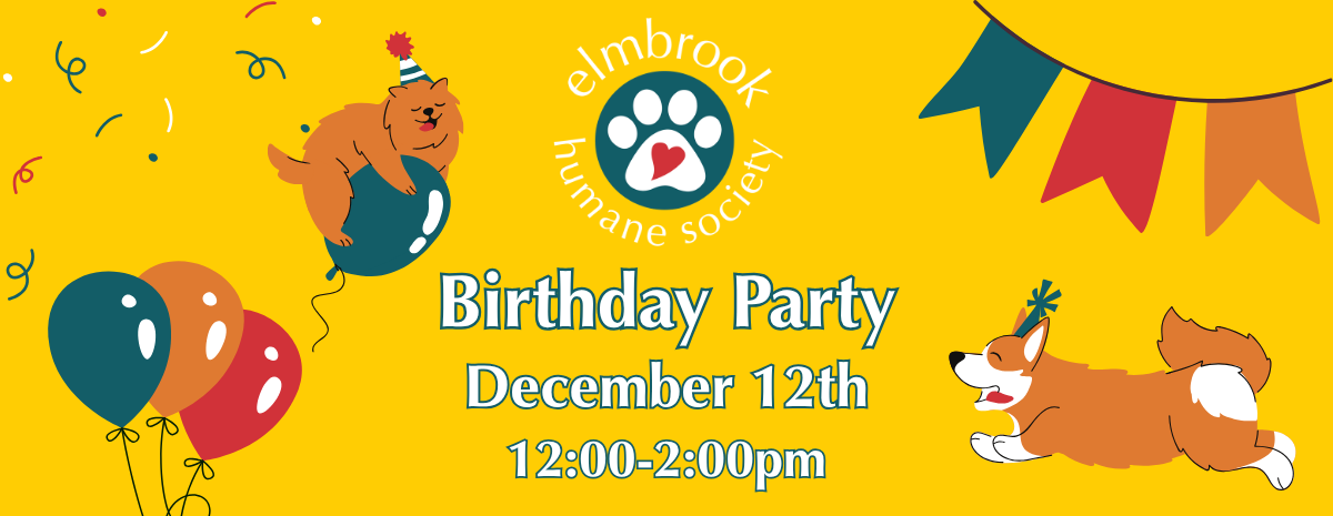 Birthday Party - December 12, 12-2pm